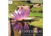 Castidade - uma conquista especial – CD