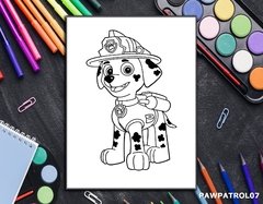 Bastidor PawPatrol