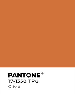 Cuadro Pantone - tienda online