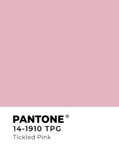 Cuadro Pantone - tienda online