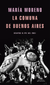 La comuna de Buenos Aires. Relatos al pie del 2001 - María Moreno