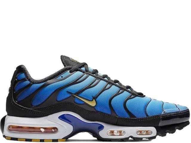 Air max 95 plus blue best sale