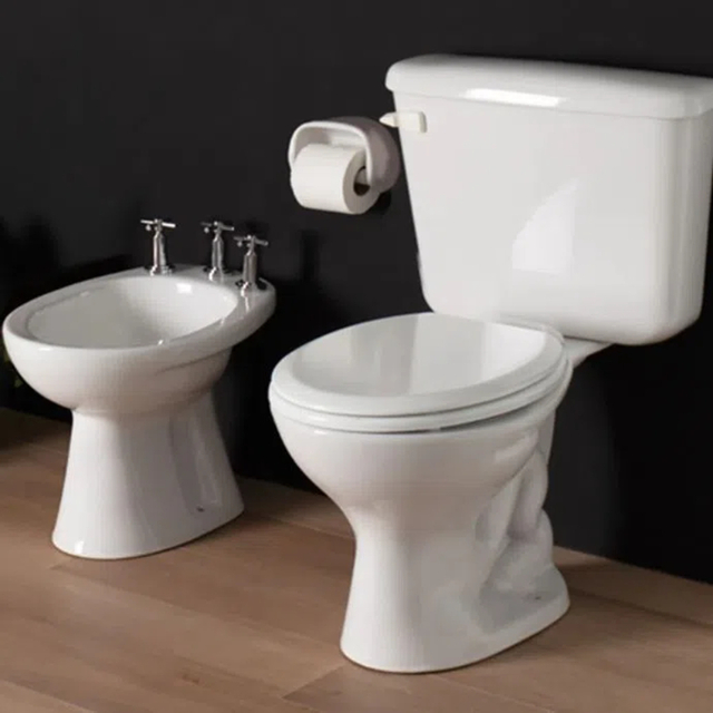 Sanitarios ferrum andina sales