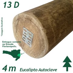 Viga de Eucalipto Autoclave Diâmetro de 13 x 400 cm - comprar online