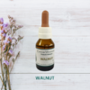 Walnut 20ml