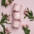 Conjunto 3 Vasos Autoirrigáveis Pequenos | Minha Amada Horta | Rosa Quartz | Raiz