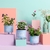 Conjunto 3 Vasos Autoirrigáveis Pequenos | Plante o Bem | Azul Serenity | Raiz