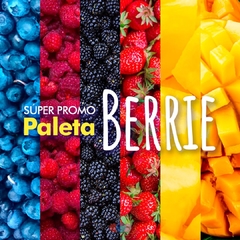 Súper Promo Paleta Berrie