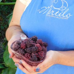 Moras congeladas x 1 kilo en internet