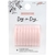 Maggie Holmes Day-To-Day Planner Discs 1.75" x9 Blush