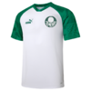 Camisa Palmeiras Pré-Jogo 23/24