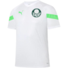 Camisa Palmeiras Treino 23/24