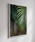 Quadro Decorativo Poster Fotografia Folhas de Palmeira - Natureza, Verde, Tropical - comprar online