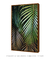 Quadro Decorativo Poster Fotografia Folhas de Palmeira - Natureza, Verde, Tropical