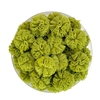 POMPOM TULE VERDE MUSGO - 2,5CM - 10 UNIDADES