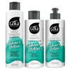 Kit Gota Babosa e Biotina Shampoo + Condicionador + Creme