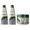 Kit Arvensis Pós Progressiva - Shampoo + Condicionador + Máscara