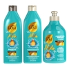 Kit Gota Óleo de Argan Uso Diário Shampoo + Cond + Creme