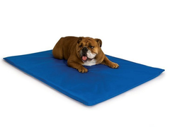 Colchonete Para Pet - Impermeável - Cama Para Cães E Gatos Pequenos 70x60cm Orthovida