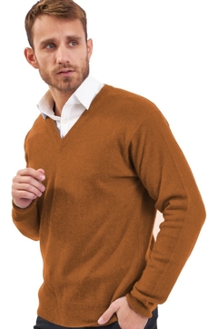 1100 / Sweater Hombre V Bremer - comprar online