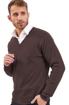 1100 / Sweater Hombre V Bremer - comprar online