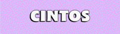 Banner da categoria Cintos