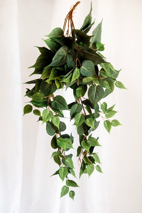 Planta Colgante Artificial Decorativa de Potus - SKLUM
