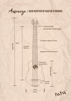 Ansenuza (Bajo 5 ACÚSTICO) en internet