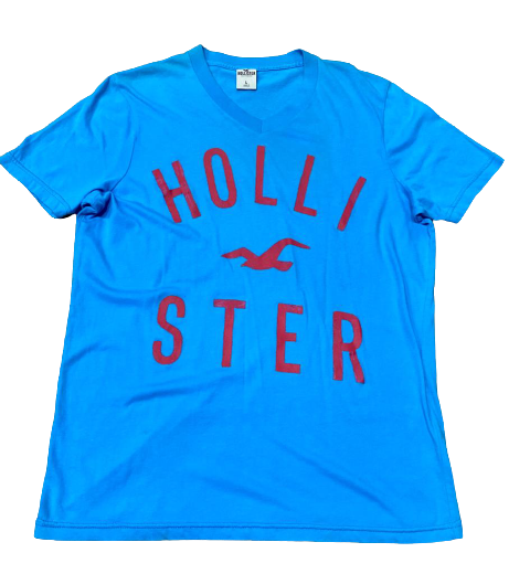 Camiseta Hollister Masculina Logo Gola V Azul