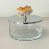 Caixa de vidro P com tampa inox e puxador em pedra citrino