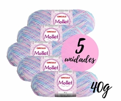 Kit 5 Novelos Fio Lã Mollet 40g Círculo Tricô/Crochê Cores