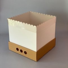 MINI PACK x 2 u DRIP BOX 25 (25x25x25 cm) - Nuevo !