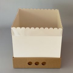 MINI PACK x 2 u DRIP BOX 25 (25x25x25 cm) - Nuevo ! - comprar online