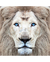 Quadro Decorativo 1 Tela Animais Leão Branco - comprar online