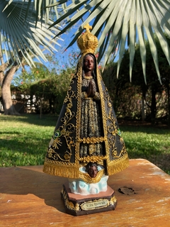 Nossa Senhora Aparecida Resina