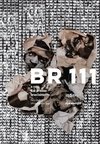 BR 111