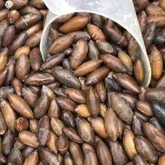 CASTANHA DE BARU - 100G