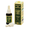 EXTRATO DE PRÓPOLIS VERDE 30ML - APIS FLORA