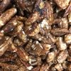 NOZ PECAN CARAMELIZADA - 100G