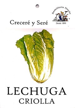 Sobre Semilla Huerta- Lechuga Criolla