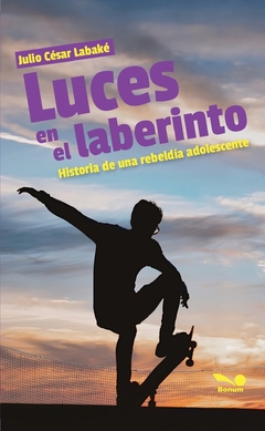 Luces en el laberinto. Historia de una rebeldía adolescente (Julio César Labaké)