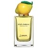Dolce & Gabbana Fruit Collection Lemon 150ml