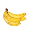 Banana Prata (Unidade)