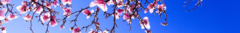 Banner de la categoría "Jugate" Primavera/Verano