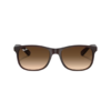 Ray-Ban Andy Gradient 4202 607313
