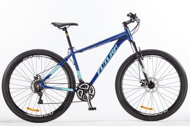 Bicicleta Mountain Bike Rodado 29 Azul - TiendaFitness