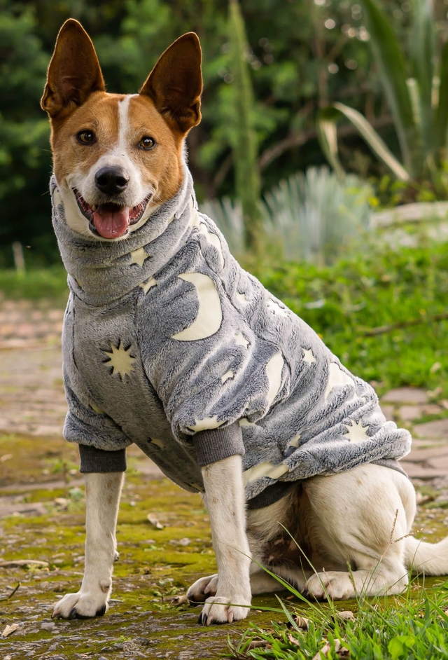 Suéter Fleece Stars - Comprar em Ammolite Pet Supply