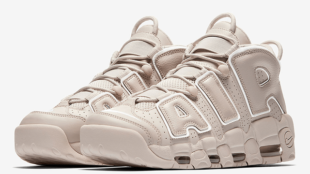 Nike 2024 max more