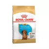 Royal Canin Dachshund Puppy 1 Kg
