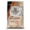 Balanced Gato Adulto Natural Recipe Cordero 3 kg